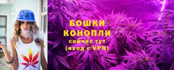 ешки Карпинск